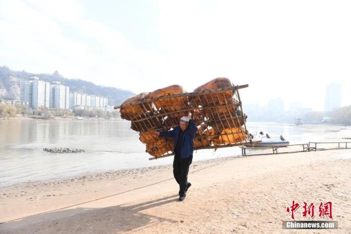 黄河边，“筏子客”扛起制作好的羊皮筏子准备下水。中新社记者 杨艳敏 摄