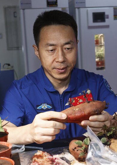 蔡旭哲在进行植物培养训练（2024年8月27日摄）。新华社发（徐部摄）