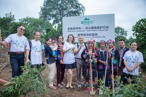 植物医生生物多样性-高山植物保护行动 大卡寨跳蚤草项目基地