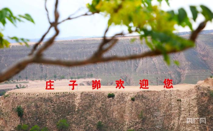 庄子峁生态农庄一景（央广网发 环县融媒体中心供图）