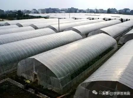 图注：山西新民能源投资集团逸园农业开发有限公司。