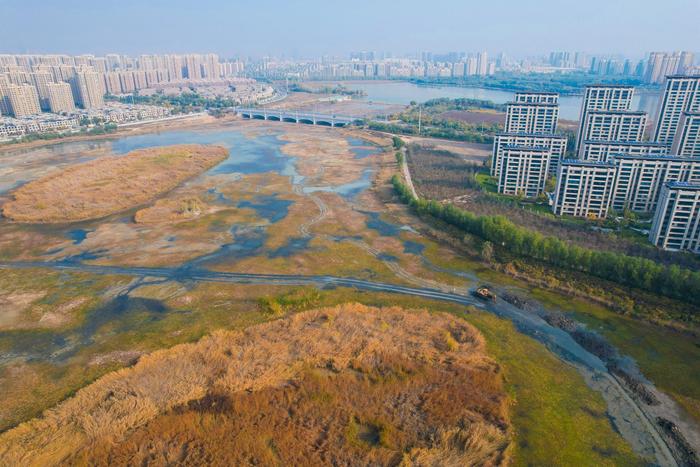 目前南湖区域抽排水、湖区排水沟开挖已完成，正在对航道进行清淤作业。