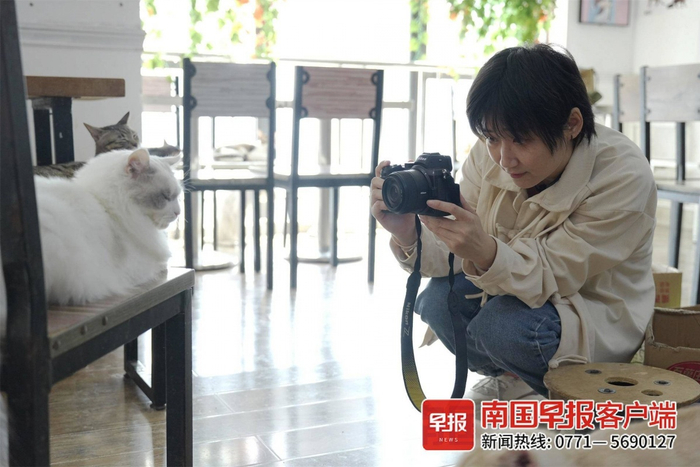 顾客用相机记录下小猫憨态可掬的瞬间。