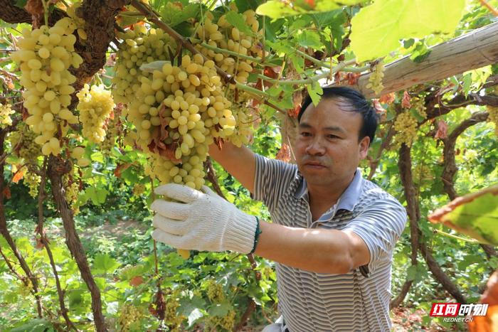 王本礼与当地老百姓同吃同住同劳动。