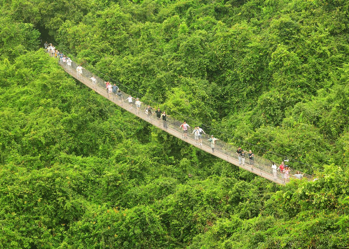 游客在三亚亚龙湾热带天堂森林旅游区游玩。通讯员 黄庆优 摄