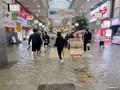 Heavy rain halts trains in Japan, triggering landslide risks