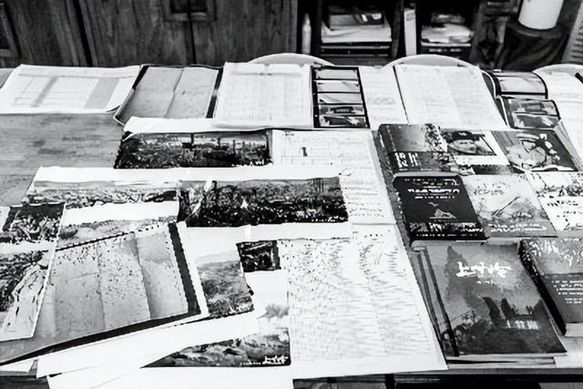 相关文献资料 李昊摄