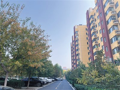 南广阳城村推行垃圾不落地，环境整洁。摄影/新京报记者 陈璐