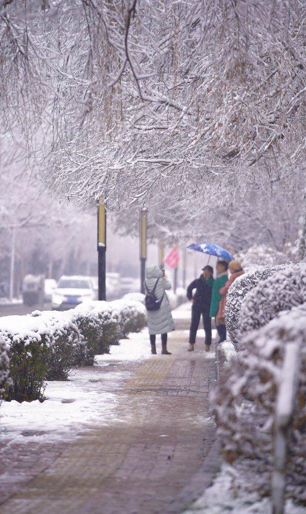 一起来赏雪