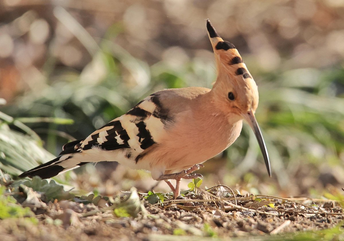　　戴胜 本报记者 白继开 摄