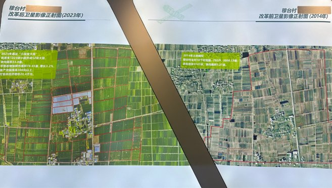 图为穆台村土地整理前后对比图。 中国经济网记者梁木摄