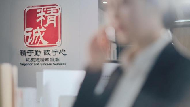 图源：比亚迪官网