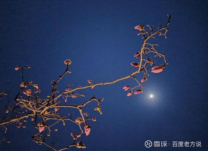 什么是老了才知道的事一个75岁的老人我退休后就没有朋友了