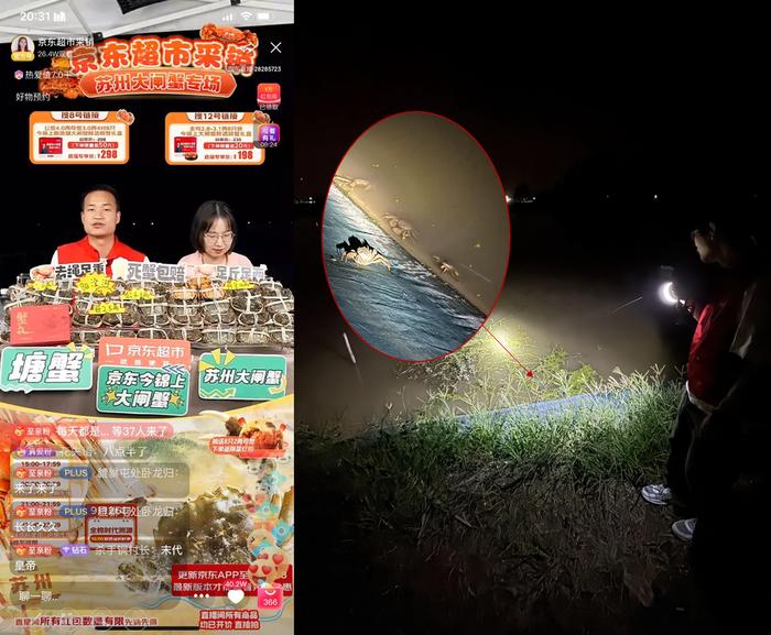 京东超市采销团队在螃蟹原产地溯源直播
