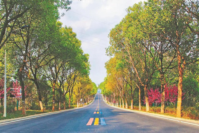 武夷山国家公园1号风景道。福建日报记者 张颖 通讯员 陈勤思 摄