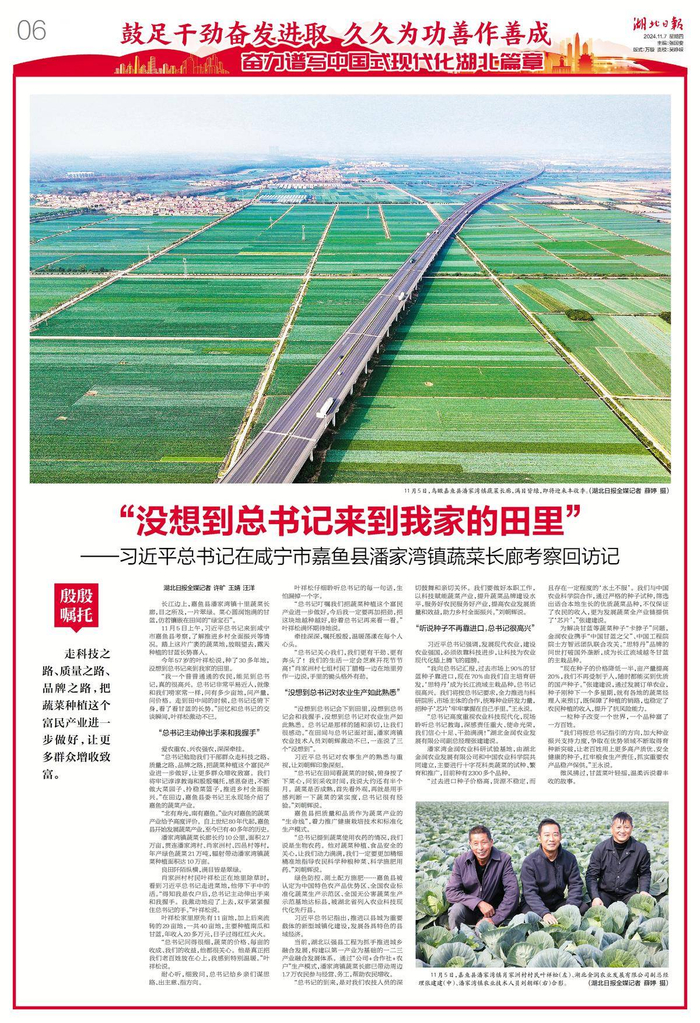 嘉鱼县关键词seo排名优化