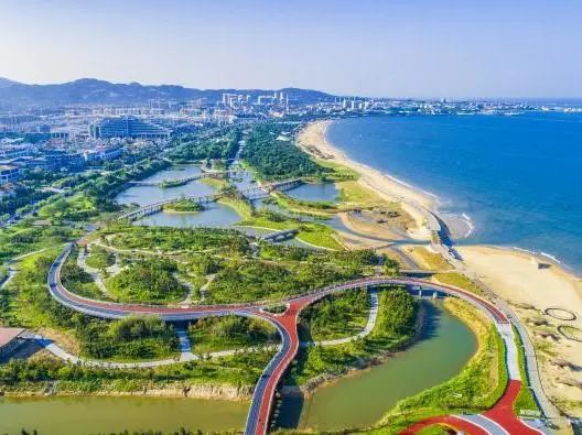 ▲阳光海岸绿道建设前（左）后（右）