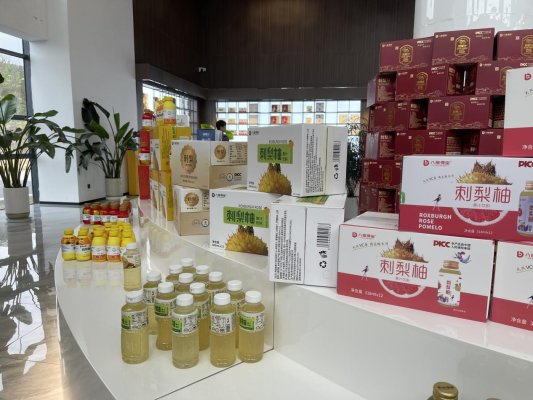 贵州得宝农业科技有限公司推出的刺梨产品