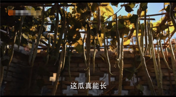 图：电视剧情节截图