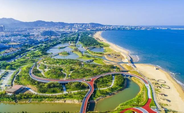 ▲阳光海岸绿道建设前（左）后（右）