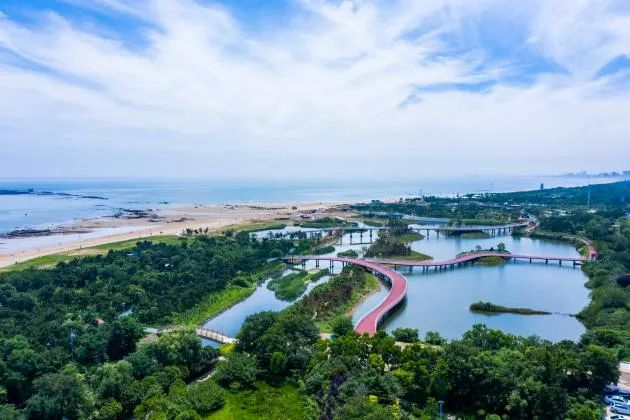 ▲阳光海岸绿道保留并连接原有水域、绿地、湿地、森林等生态板块