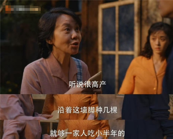 图：电视剧情节截图