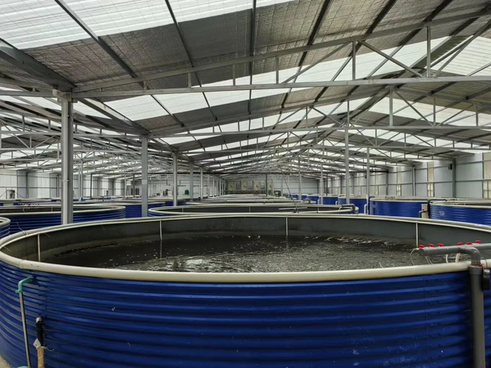 长阳陆基循环水养殖车间