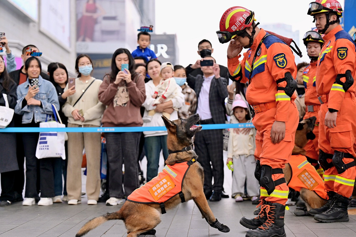 训导员和搜救犬互动，引来市民游客围观。