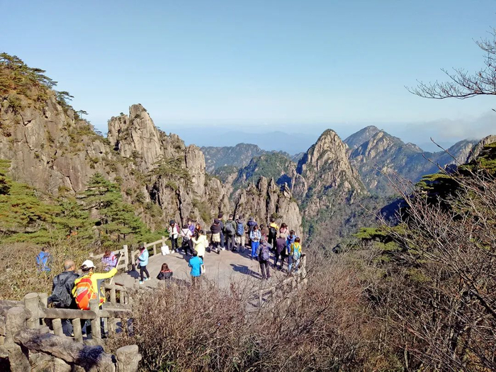 图片来源：每经记者 张韵 摄