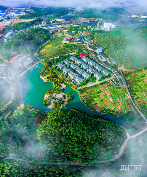 国家森林乡村、海峡两岸乡村融合发展示范村——三明市三元区小蕉村（央广网发  谢月妮  摄）