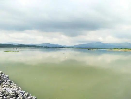 ▲考洲洋养殖清拆整治（左：清拆前，右：清拆后）