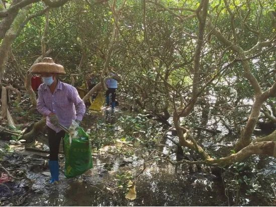 ▲海漂垃圾清理