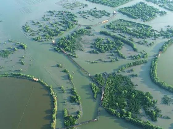 ▲罂公洲-赤岸区域海岸带整治及生态修复工程项目（左：项目实施前，右：项目实施后）