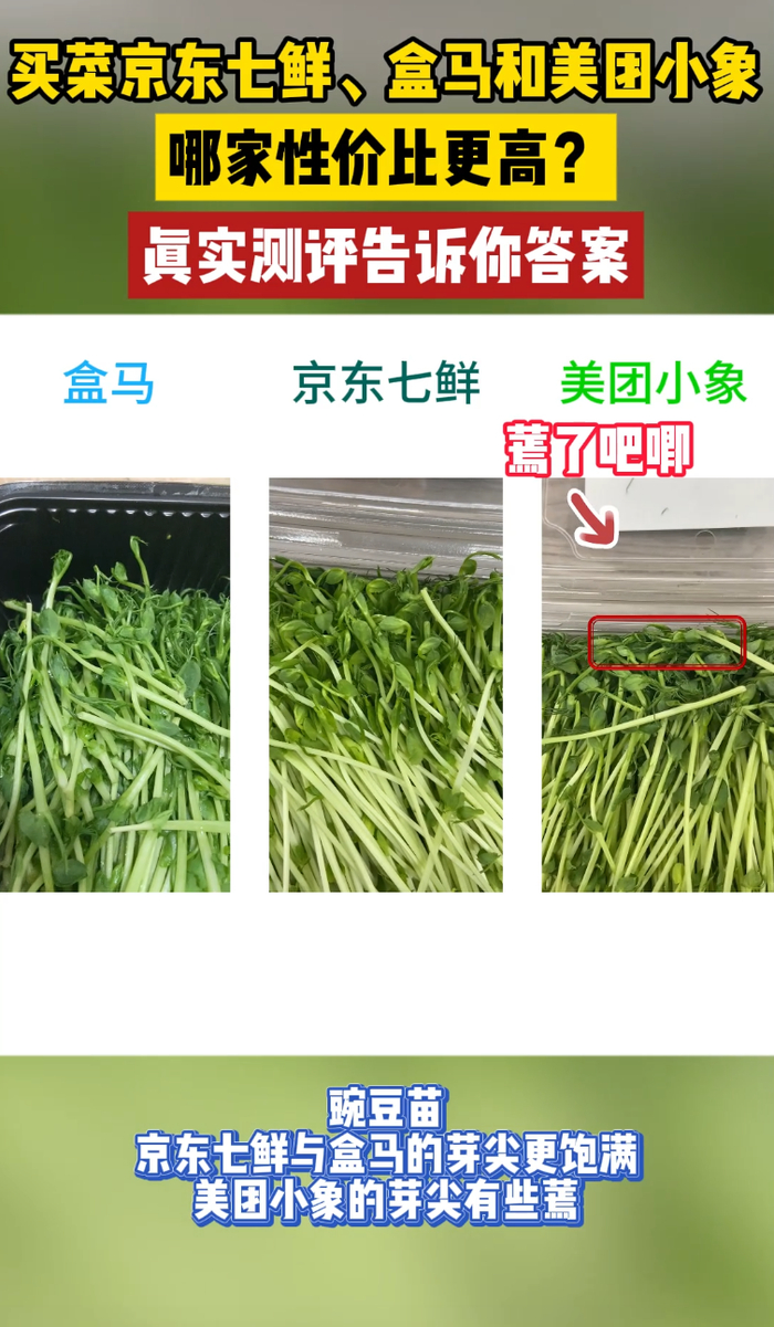 图片源自测试视频