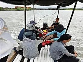 ▲红树林碳储量调查