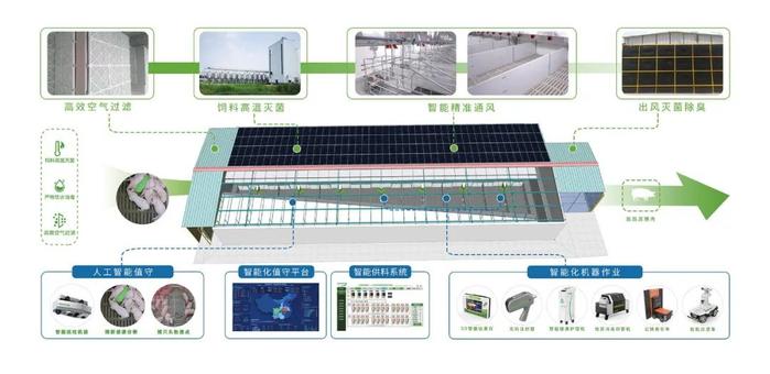 牧原智能化猪舍。来源：受访者