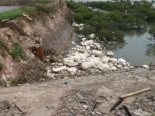 ▲生态岸线修复前