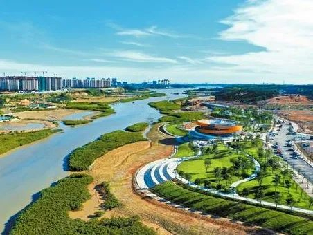 ▲孔雀湾区域修复前（左）后（右）