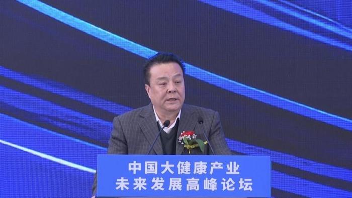 中国国际经济合作发展局局长张炳忠发表演讲