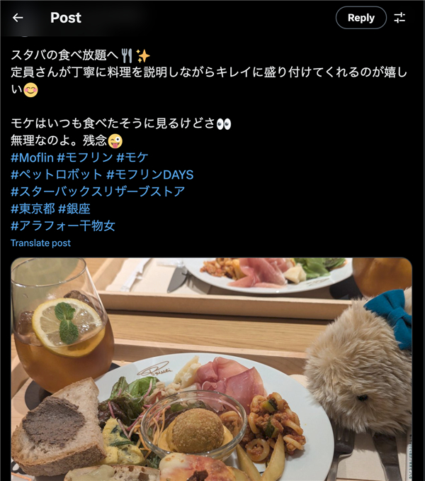 有用户在po出带着Moflin去星巴克吃饭的照片，「Moflin看上去总是一副吃饱了的样子」｜图片来源：推特