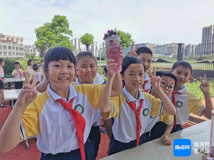 海口市秀英区长滨小学的学生们正在上中草药文化田园课。受访者供图