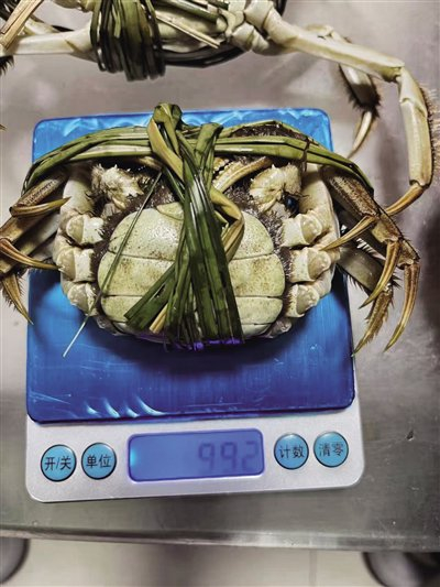 2688型阳澄蟹礼蟹卡标注的4两母蟹实际到手不足2两。