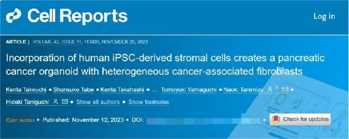 △ 融合hiPSC的基质细胞会产生具有异质性成纤维细胞的胰腺癌类器官，有望加速抗癌药物筛选，促进胰腺癌深入研究。