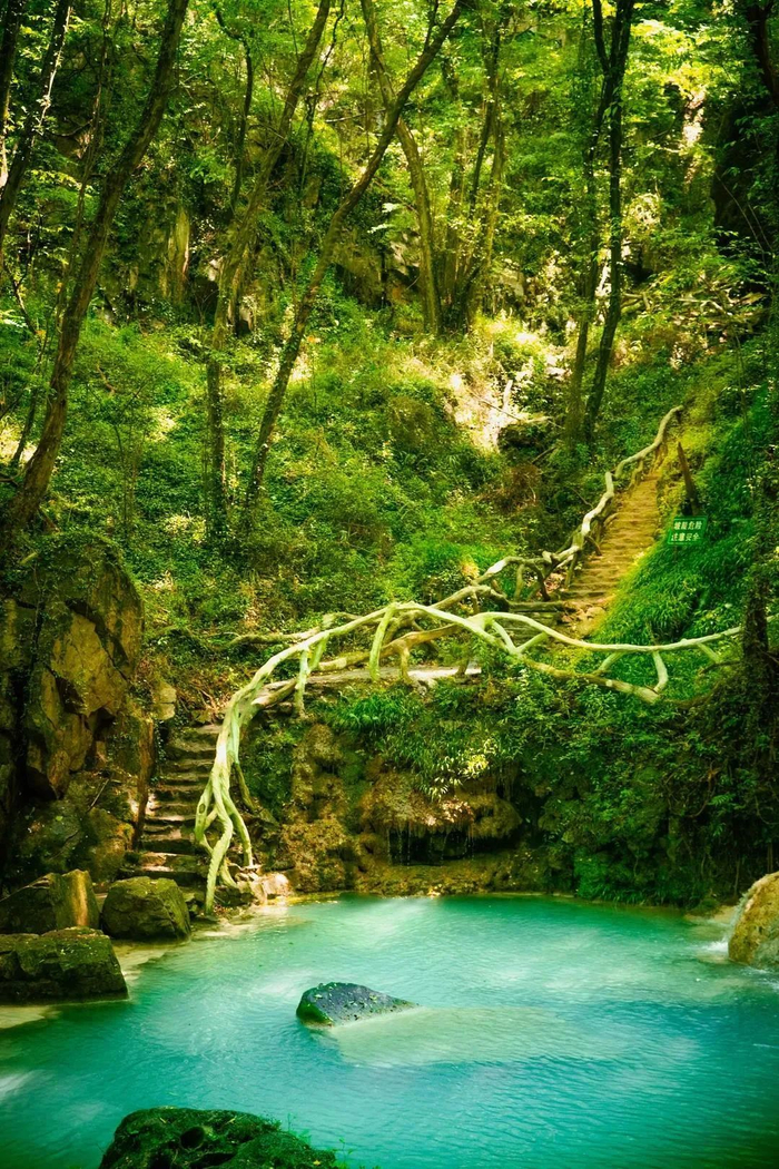 大口国家森林公园 图/钟祥文旅