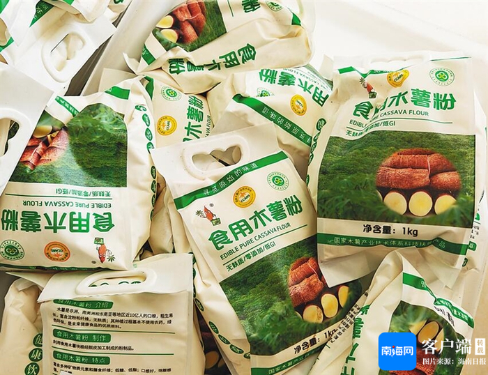 中国热带农业科学院加工的食用木薯粉。海南日报全媒体记者 袁琛 摄