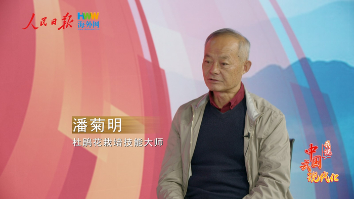 海外网专访潘菊明