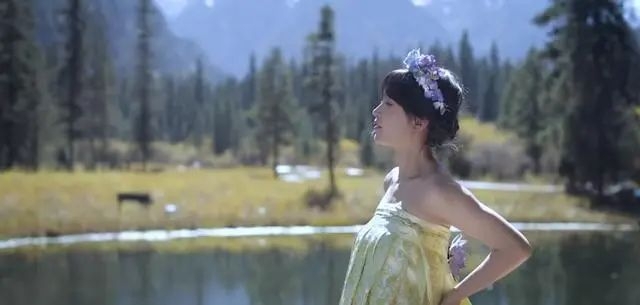 图源：李子柒视频截图