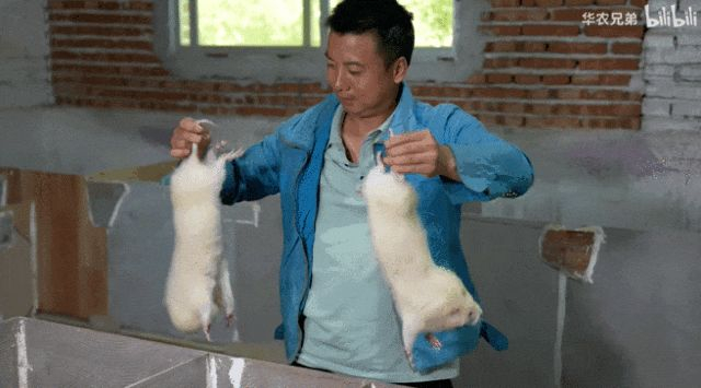 图源：华农兄弟