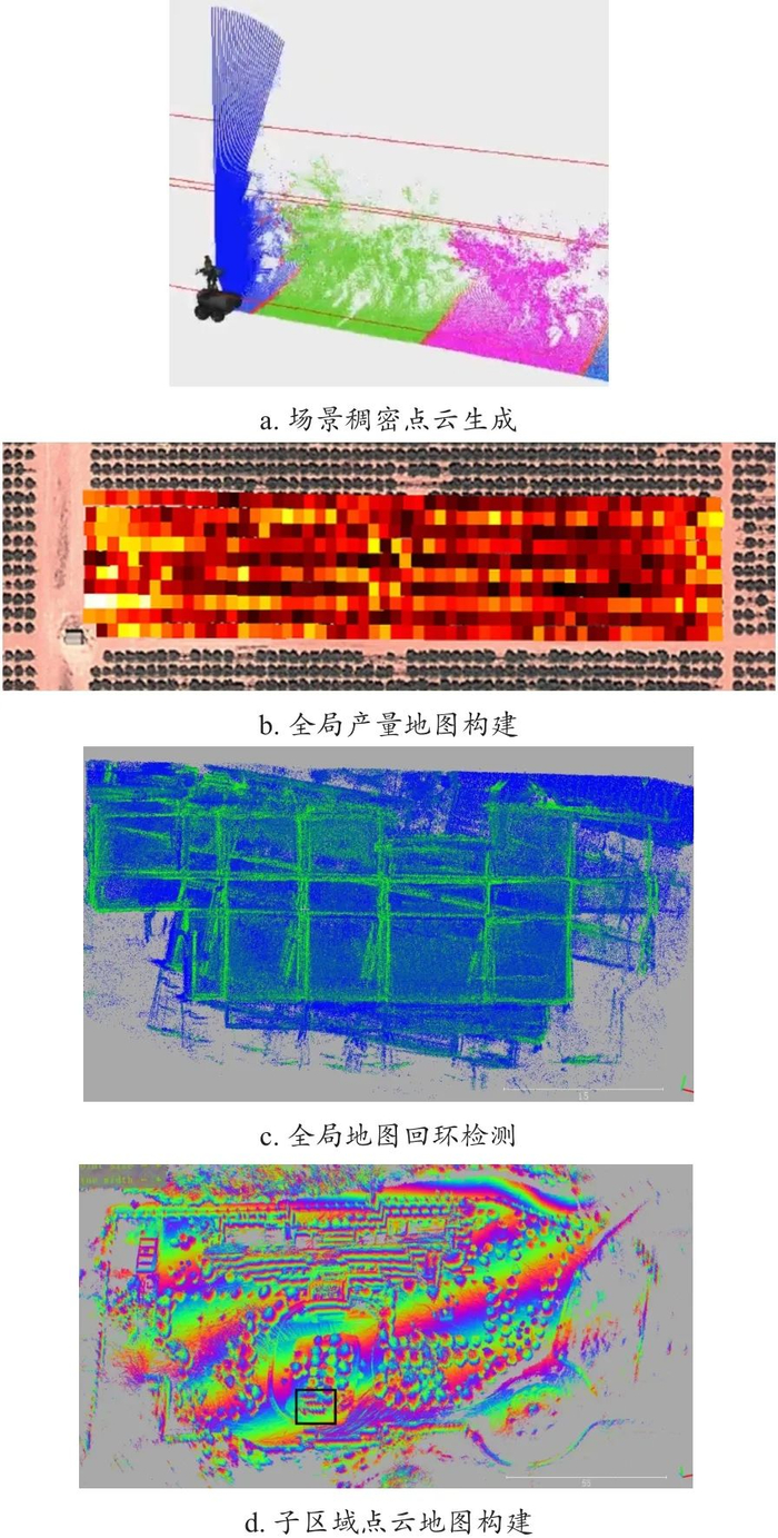 图7　基于多传感融合方法的果园建图效果示意图