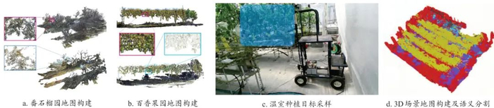 图6　基于视觉方法的果园建图效果示意图